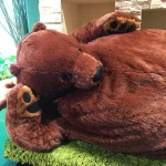 Ours géant en peluche, parfait pour les câlins