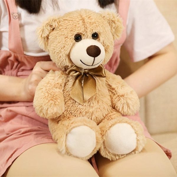 Ours en peluche, cadeau parfait pour tous les âges
