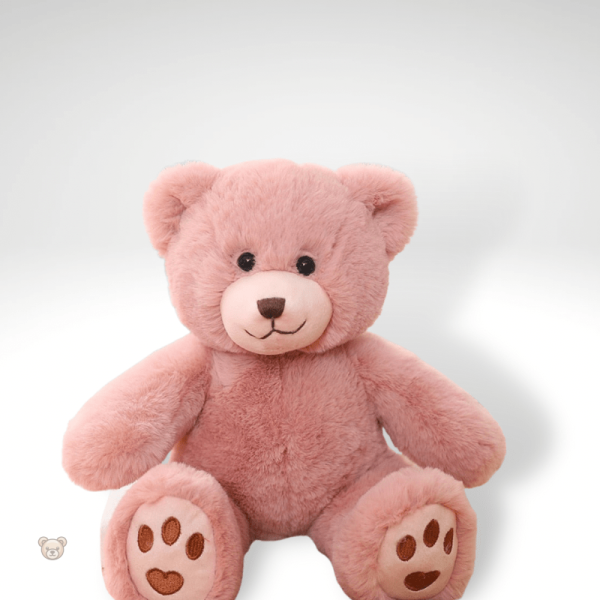 Ours en peluche petit, idéal pour les câlins