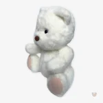 Ours en peluche sans déguisement, idéal pour les câlins