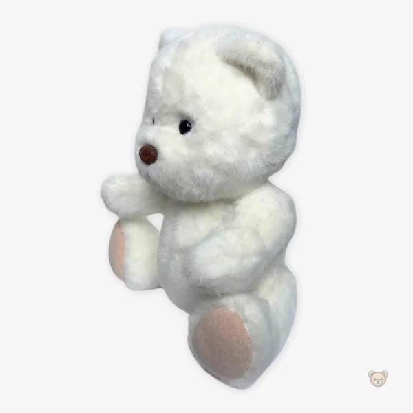 Ours en peluche sans déguisement, idéal pour les câlins