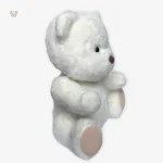 Ours en peluche tendre, parfait pour les moments de réconfort