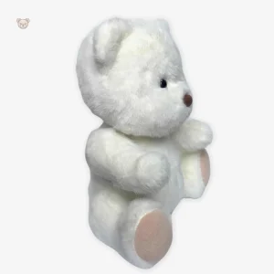Ours en peluche tendre, parfait pour les moments de réconfort