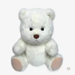 Ours en peluche neutre, design simple et accueillant