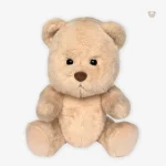 Ours en peluche à câliner, un cadeau intemporel