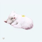 Peluche chat blanc endormi, douce et câline pour chambre cosy