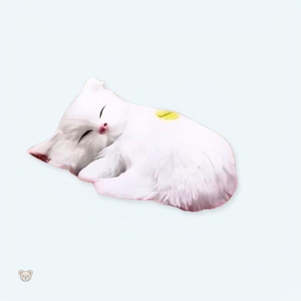peluche-chat-blanc-endormi-doux-calin-chambre-cosy-1 Peluche chat blanc endormi, douce et câline pour chambre cosy