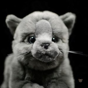 Jouet en peluche chat gris, parfait pour les câlins