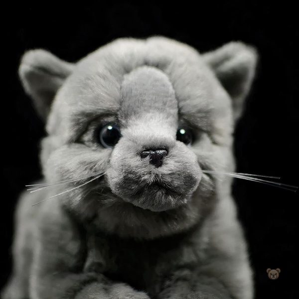 Jouet en peluche chat gris, parfait pour les câlins