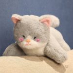 Peluche croisée chat et requin, un compagnon ludique