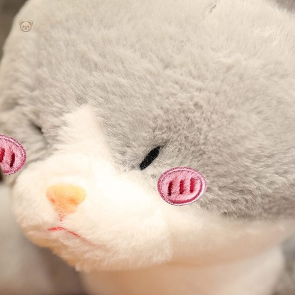 Peluche unique alliant les traits d'un chat et d'un requin