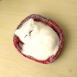 Peluche câlin au design apaisant