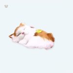 Peluche douce chat roux et blanc