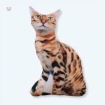 Peluche chat tigré marron doux pour câlins d'enfants
