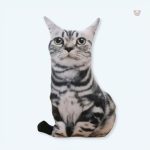 Peluche chat tigré noir douce pour câlins d'enfants