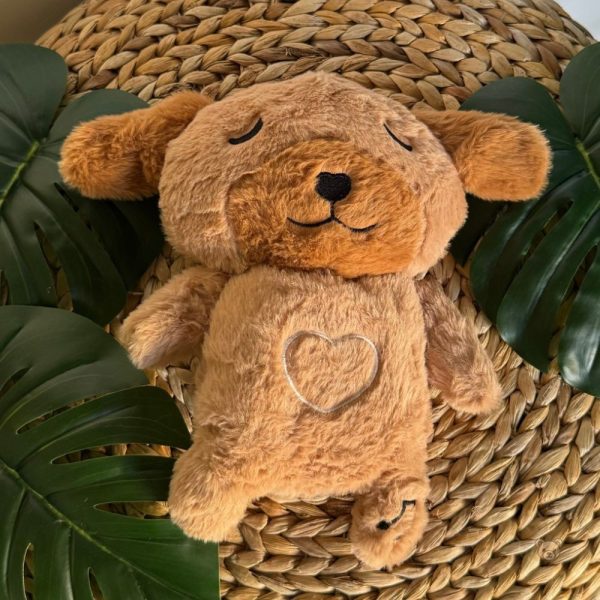 Doudou chien veilleuse, ambiance calme pour enfants
