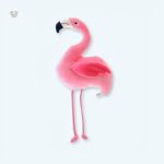 Peluche flamant rose douce pour enfant