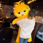 Peluche cosy Garfield, grand modèle, parfaite pour les câlins