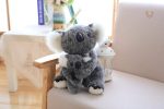 Joli koala avec un petit en peluche