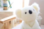 Peluche koala, un cadeau doux et affectueux
