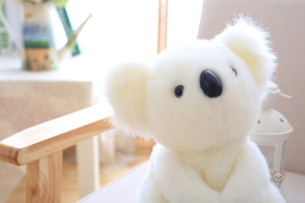 Peluche koala, un cadeau doux et affectueux