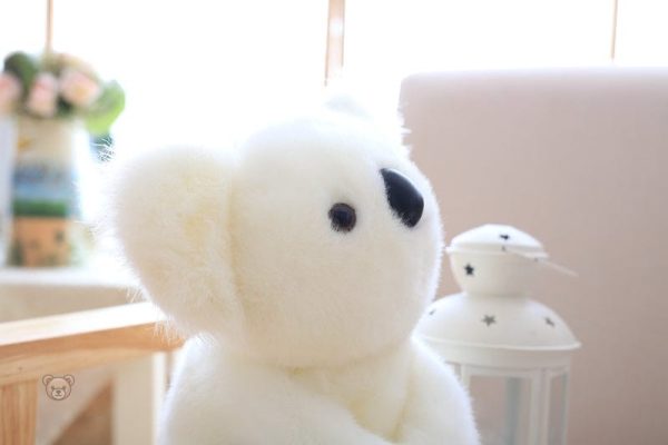 Koala et bébé en peluche, compagnons de jeu