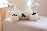 Duo de peluches koala, tendresse assurée