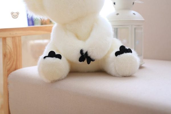 Duo de peluches koala, tendresse assurée