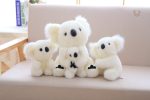 Doux koala avec son petit en peluche