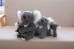 Peluche koala familiale, tendre et câline
