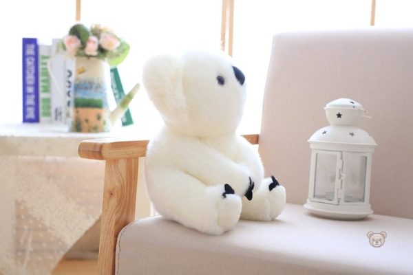 Peluche koala, un duo attendrissant
