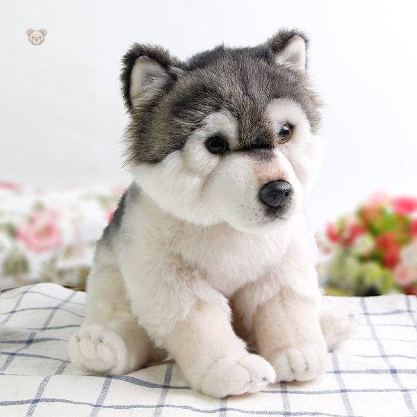 peluche-loup-petit-et-mignon-1 Peluche loup petit et mignon