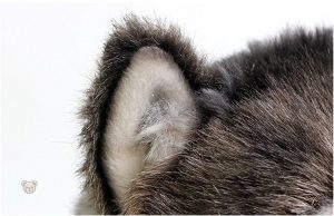 Mignonne peluche en forme de loup