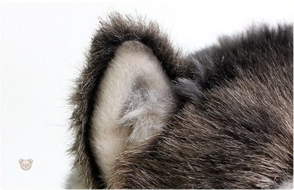 Mignonne peluche en forme de loup