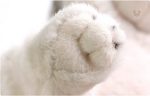Peluche loup douce et câline