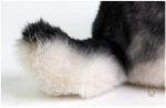 Peluche loup parfaite pour les câlins