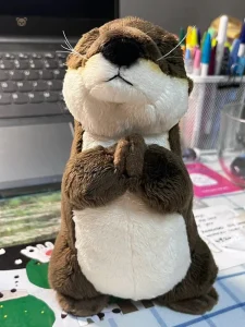 Peluche loutre mignonne aux yeux fermés, douce et câline