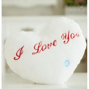 Câlin peluche romantique en forme d'oreiller blanc doux