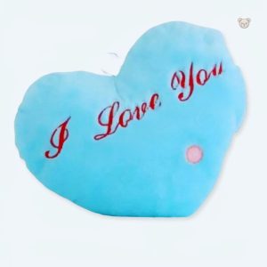 Peluche oreiller bleu doux avec message d'amour câlin