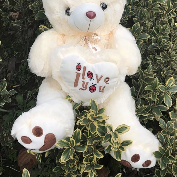 Ours en peluche poilu, compagnon de jeu pour les petits
