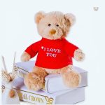 Peluche ourson doux avec message d'amour