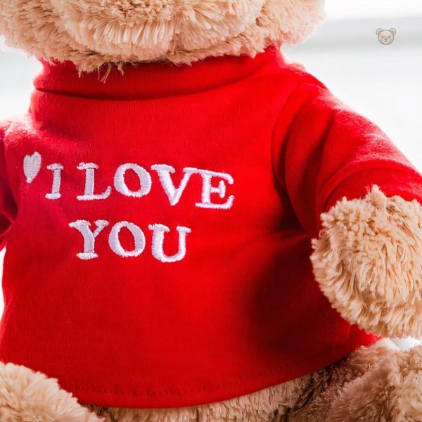 Ourson câlin, cadeau romantique pour elle