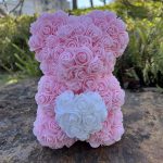 Peluche ourson rose bicolore pour la Saint-Valentin - vue 33