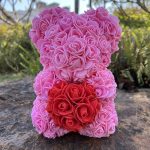 Peluche ourson rose bicolore pour la Saint-Valentin - vue 36