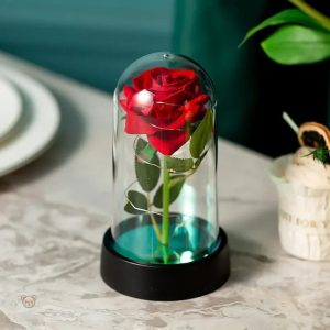 Ourson rose, cadeau romantique pour toutes les occasions