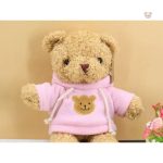 Peluche rose chaleureuse, compagnon de jeu et de réconfort pour enfants