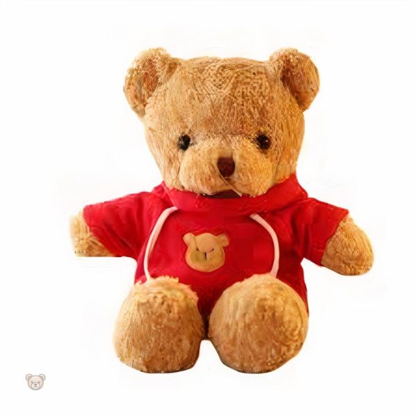 Peluche câline idéale pour les froides journées d'hiver