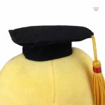 Cadeau original en forme de pieuvre pour les diplômés