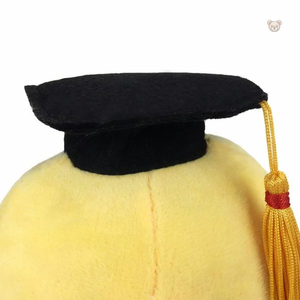 Cadeau original en forme de pieuvre pour les diplômés