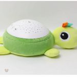 Tortue apaisante pour créer une ambiance sereine
